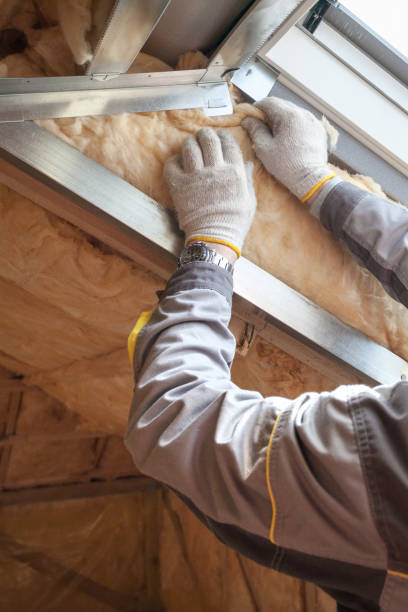 Best Attic Insulation Installation  in York, SC