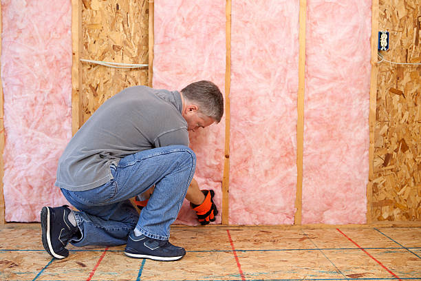Best Attic Insulation Installation  in York, SC