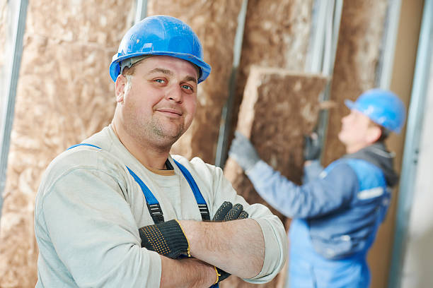 Best Insulation Replacement Services  in York, SC
